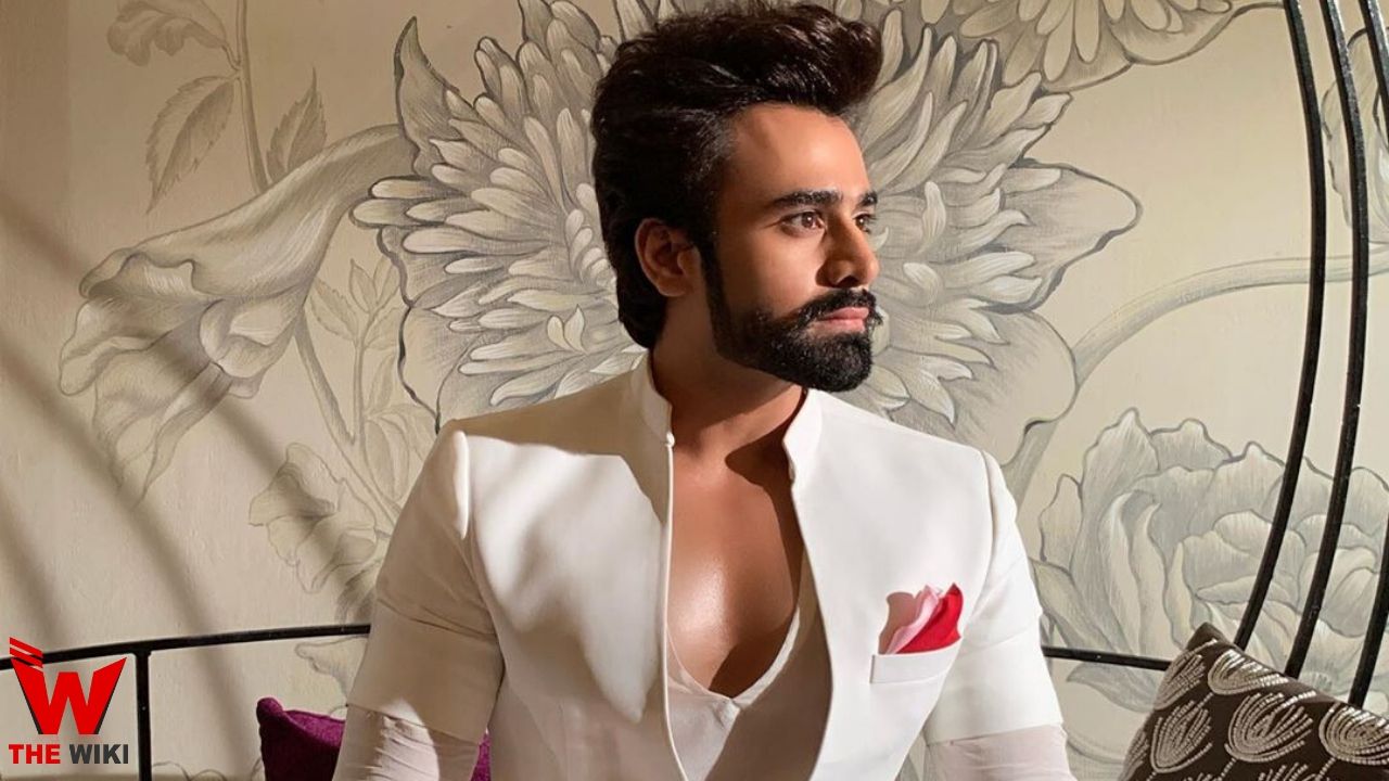 Pearl V Puri (Actor)