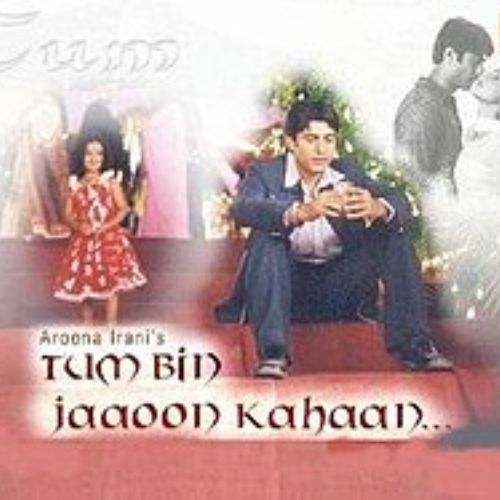 Tum Bin Jaaoon Kahaan (2004)
