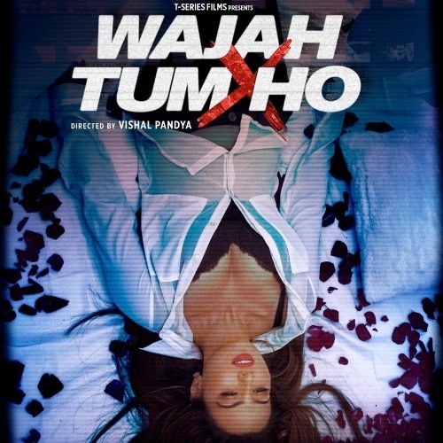 Wajah Tum Ho (2016)