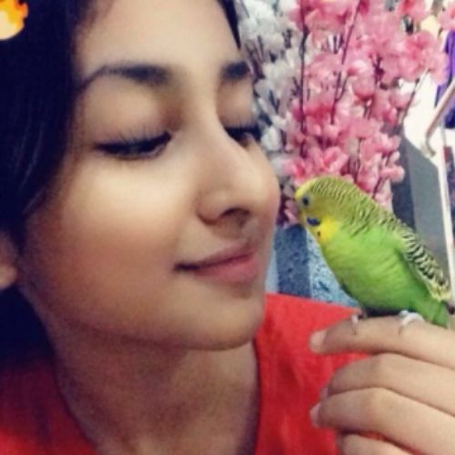 Anchal Sahu with her bird
