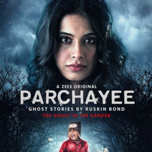 Parchayee (2019)