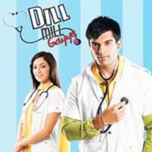 Dill Mill Gayye (2010)