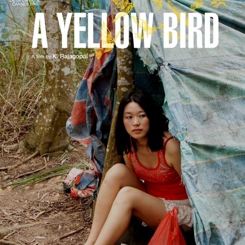 A Yellow Bird (2016)