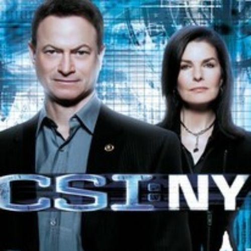 CSI NY (2006)