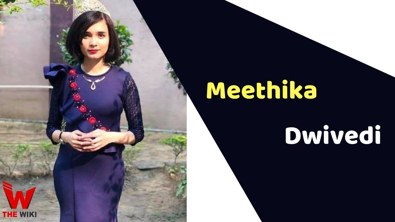 Meethika Dwivedi (Influencer)