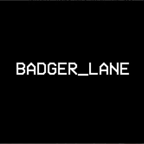 Badger lane (2016)