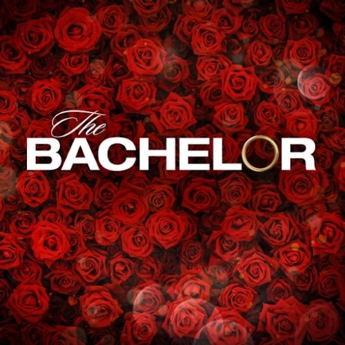 The Bachelor (2022)