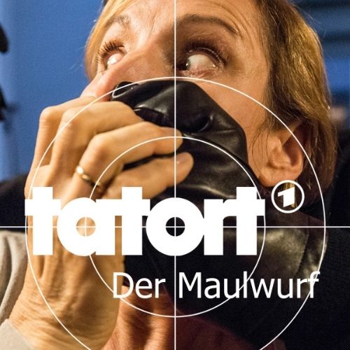 Tatort : Der Maulwurf (2014)