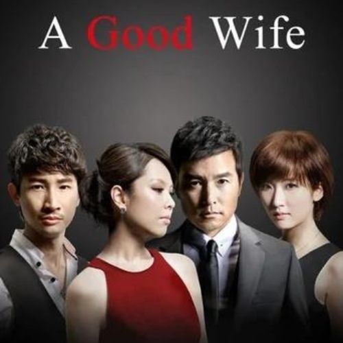 The Good Wife (2013)