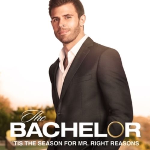 The Bachelor 27 (2023)